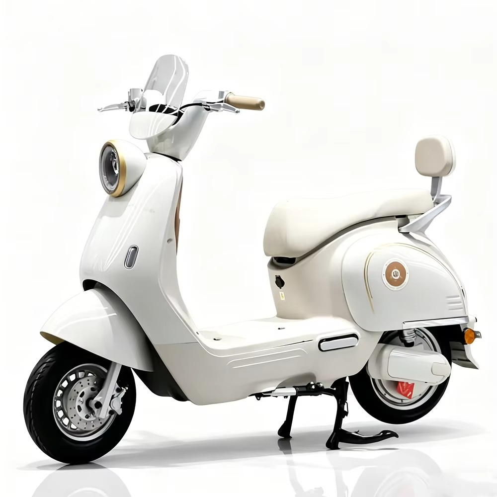 EER Adult electric motorcycle  - đánh giá và giá Brake Disc Motorcycle